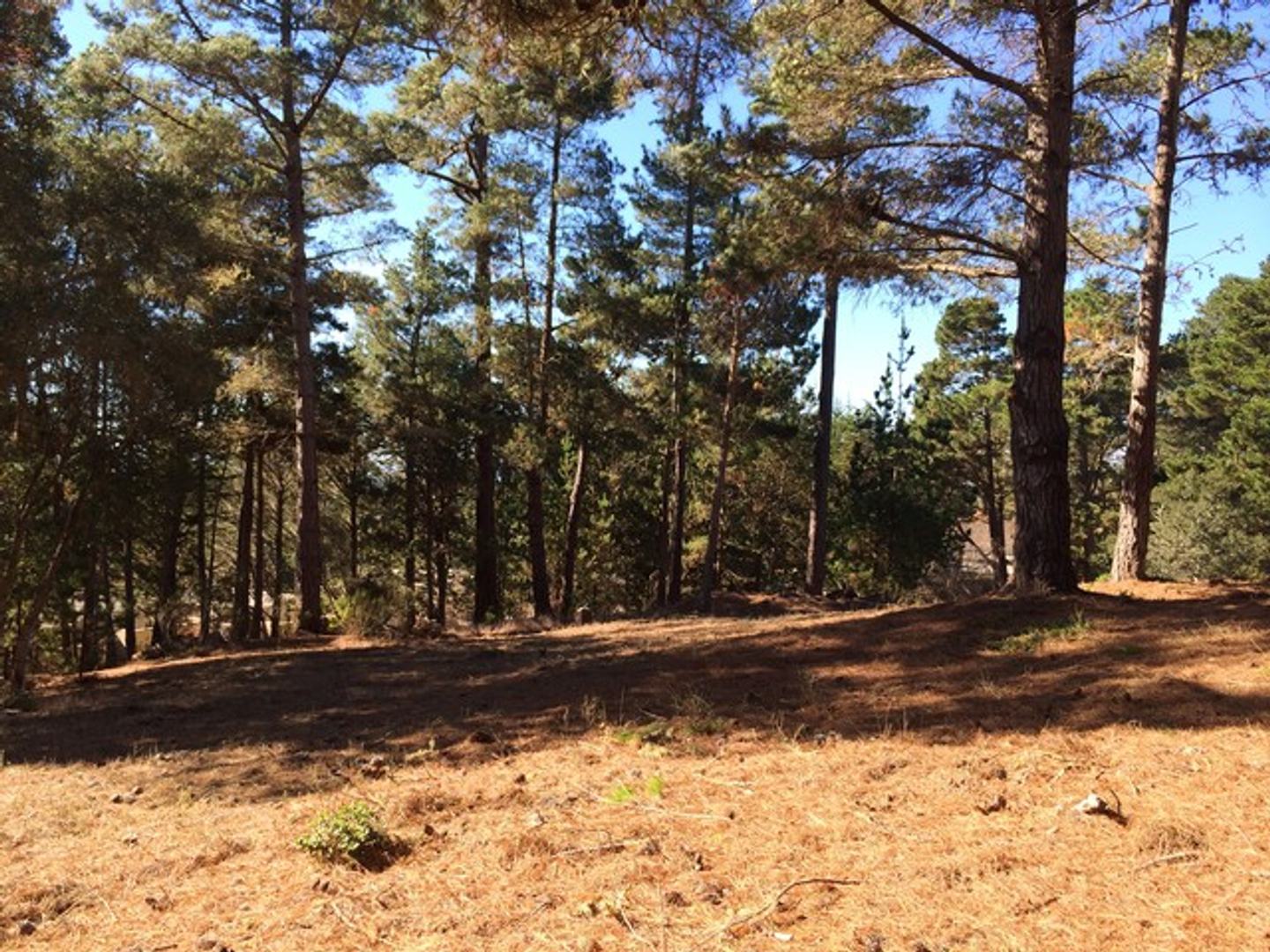 7 Acres - 3940 Via Mar Monte photo #3