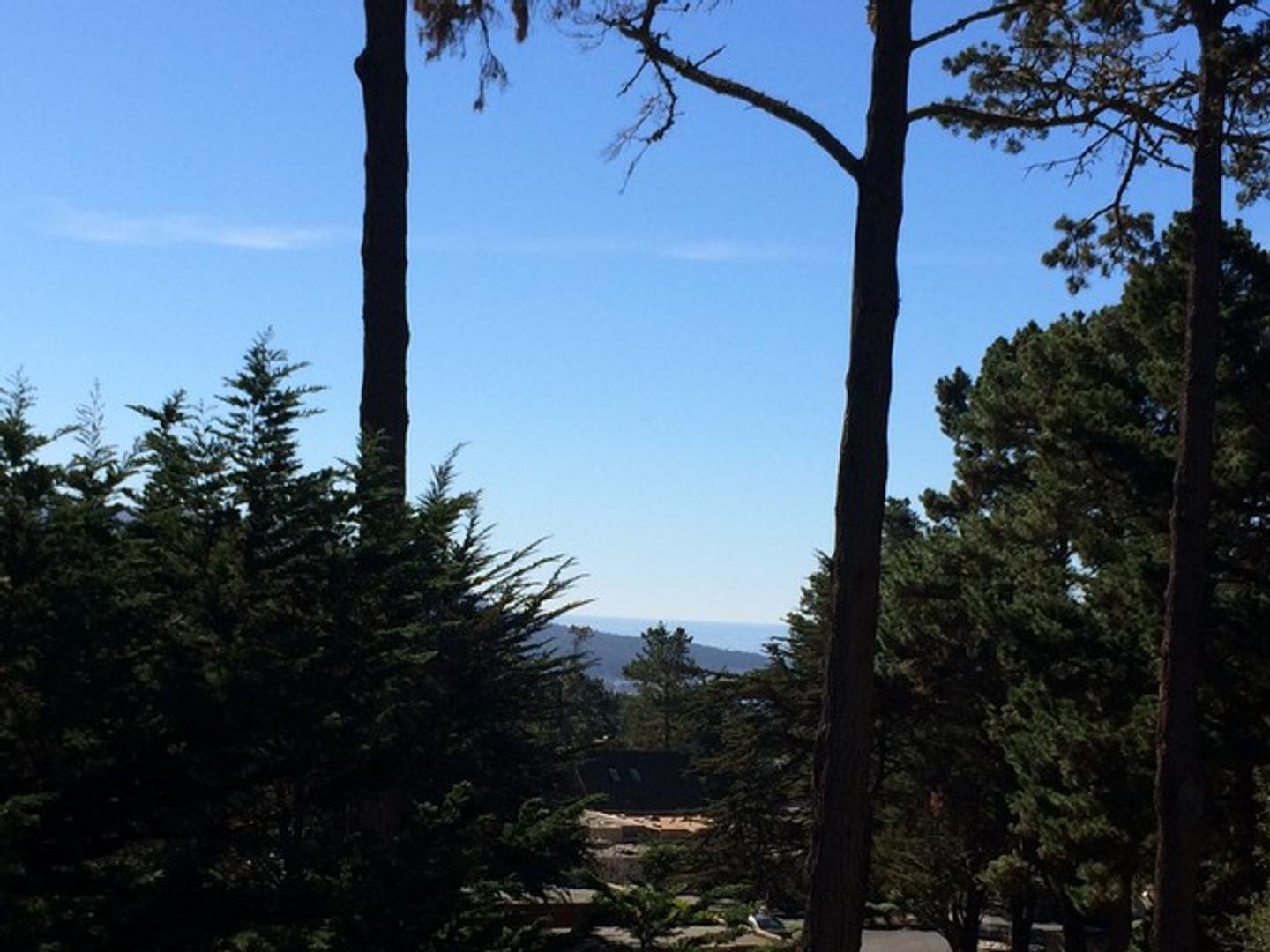 7 Acres - 3940 Via Mar Monte photo #5