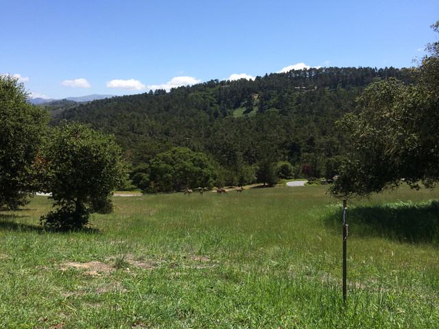 24237 Monterra Woods (lot 64)
