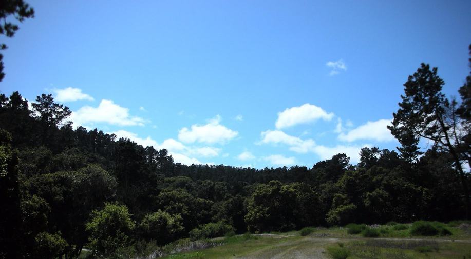 7745 Paseo Venado