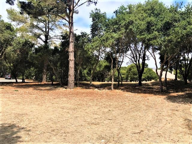 7830 Monterra Oaks Road (Lot 104)