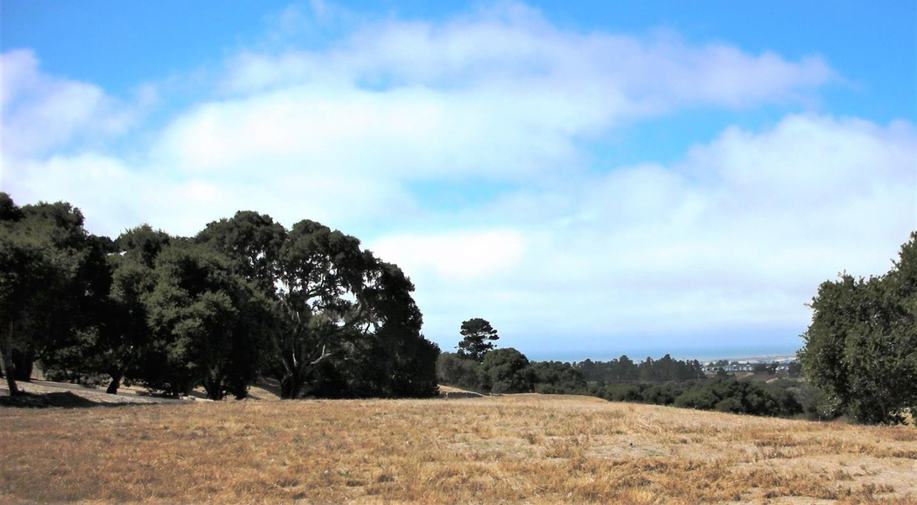 7599 Paseo Vista (Lot 75)