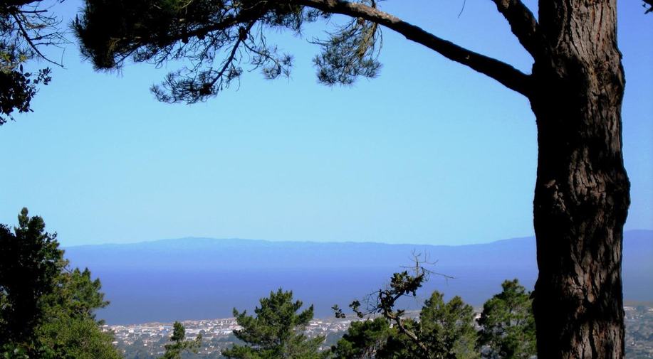 7870 Monterra Oaks (Lot 108) RD