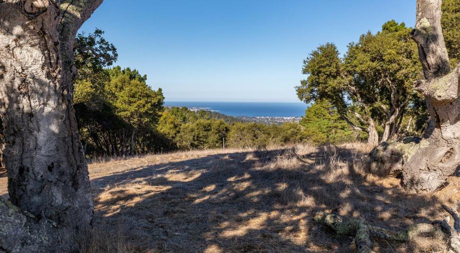 25520 Via Malpaso (Lot 92)