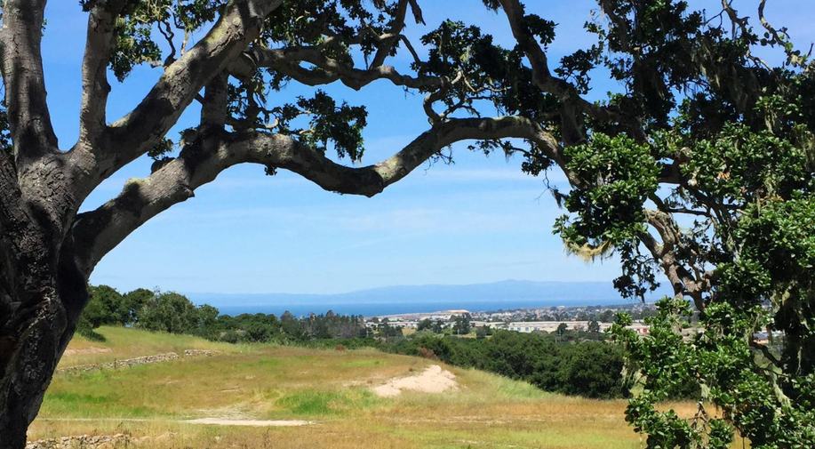 7586 Paseo Vista (Lot 78)