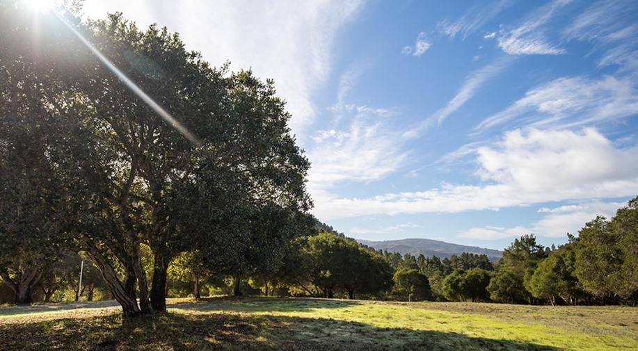 24 Tehama (Lot 10)