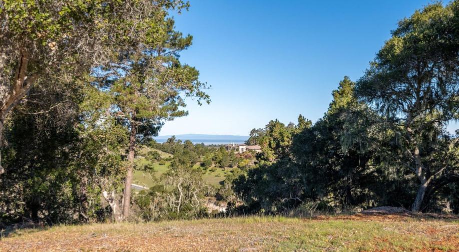 7765 Paseo Venado (Lot 85)