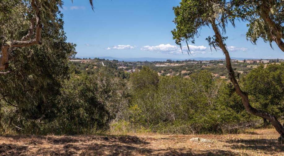 8160 Manjares (Lot 136)