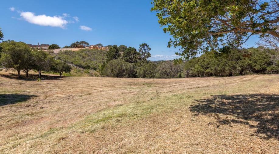 8130 Manjares (Lot 126)