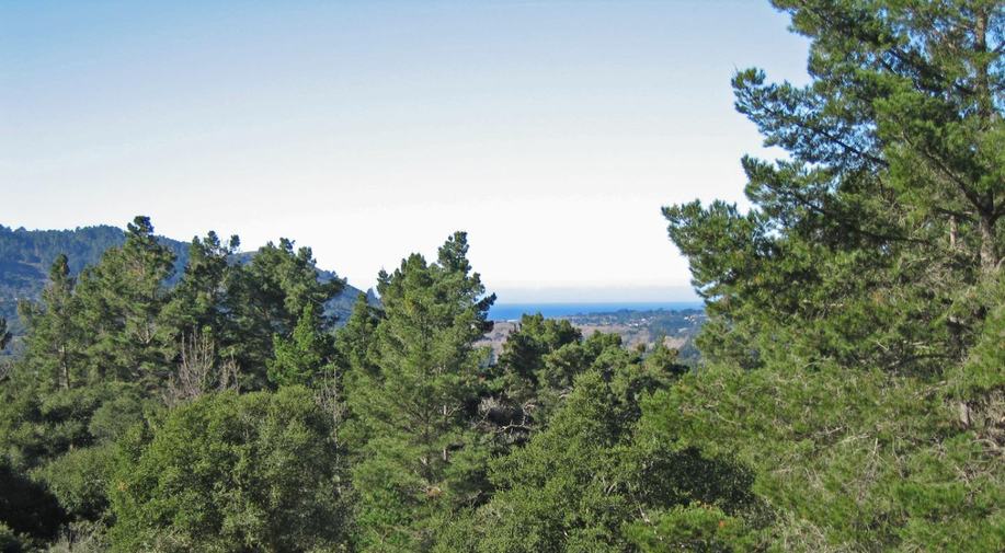 12 Alta Madera (Lot 4)