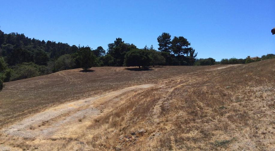 7552 Monterra Ranch Road (Lot 57)