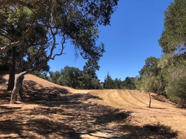 7735 Paseo Venado (Lot 82)