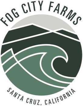 Fog City