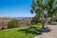 27812 Crowne Point Drive - SOLD (Image 38)