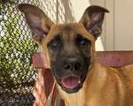Image of Press Release #1348