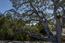 1034 Matador Road - SOLD (Image 17)