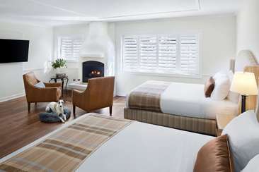Image about Dog-Friendly Guestrooms Available