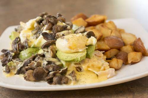Turkey, Avocado and Mushroom Benedict