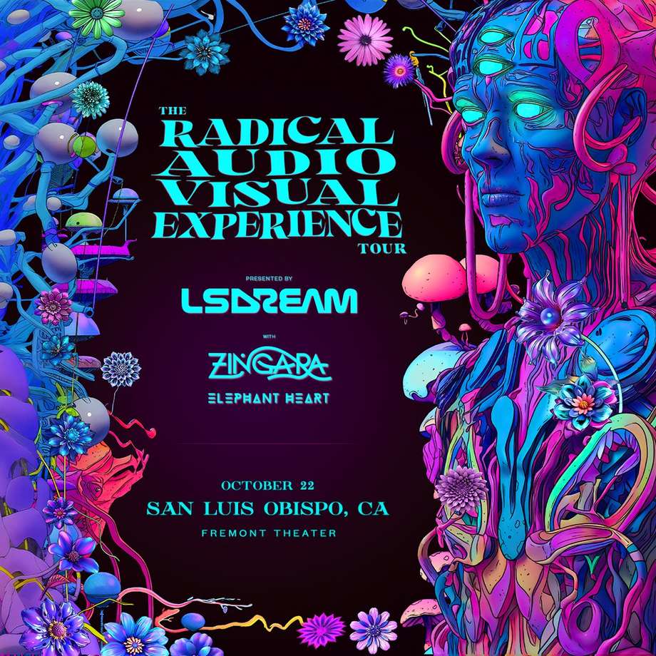 The Radical Audio Visual Experience Presented by LSDREAM