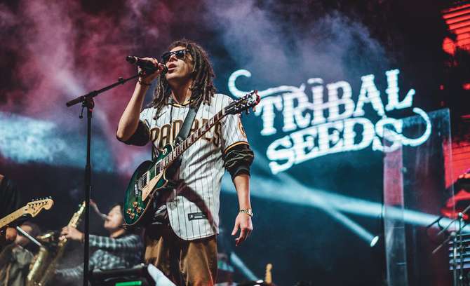 Image of Tribal Seeds