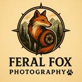 Feral Fox Photography