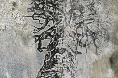 Jane Olin: Some Trees