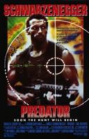 Image of Predator