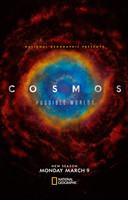 Image of Cosmos: Possible Worlds