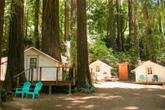 Glamping Tents among the redwoods (Thumbnail)
