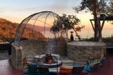 Nepenthe - Photo 3 (Thumbnail)