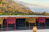 Nepenthe - Photo 5 (Thumbnail)