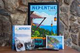 The Phoenix at Nepenthe - Photo 2 (Thumbnail)