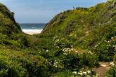 (Photo credit: SeeMonterey.com) (Thumbnail)