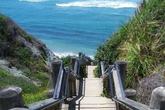 Sand Dollar Beach - Photo 3 (Thumbnail)