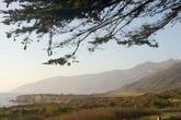 Sand Dollar Beach - Photo 4 (Thumbnail)