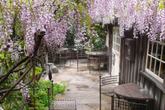 Deetjen's Big Sur Inn - Photo 2 (Thumbnail)