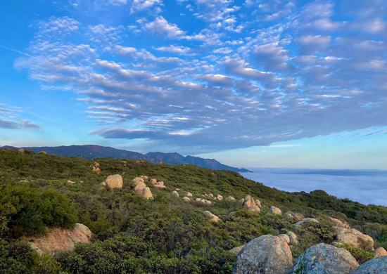 Los Padres National Forest