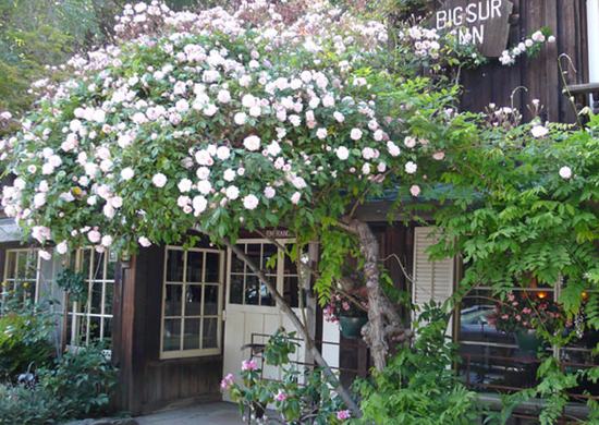 Deetjen's Big Sur Inn - Photo 1 (Thumbnail)