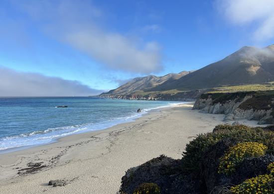 Northward View (Thumbnail)