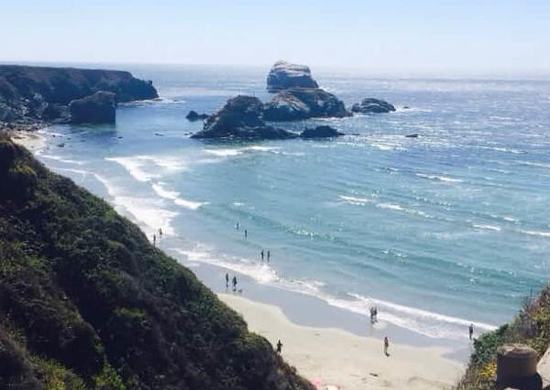 Sand Dollar Beach - Photo 1 (Thumbnail)