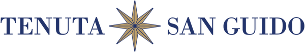 Image about San Guido
