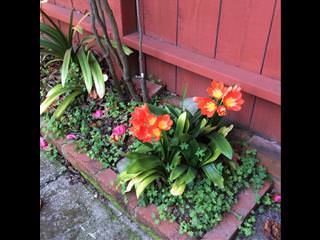 Property Listings in Daly City