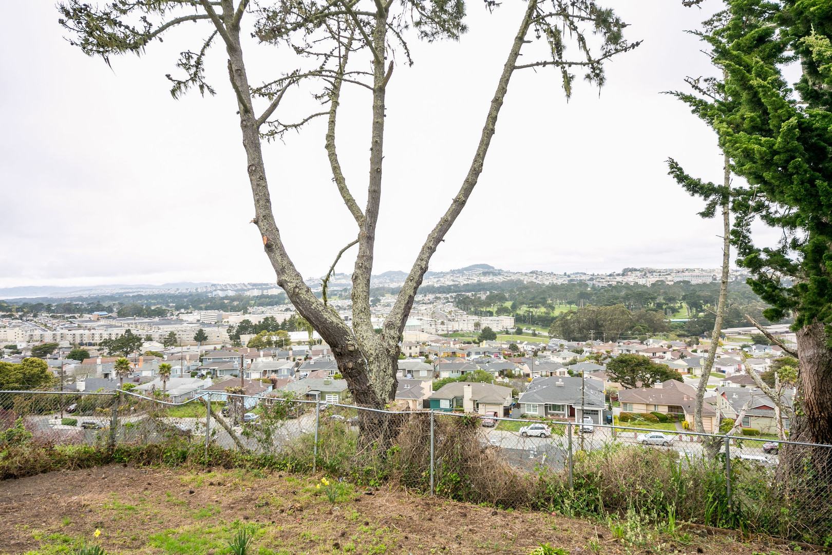 Property Listings in Daly City