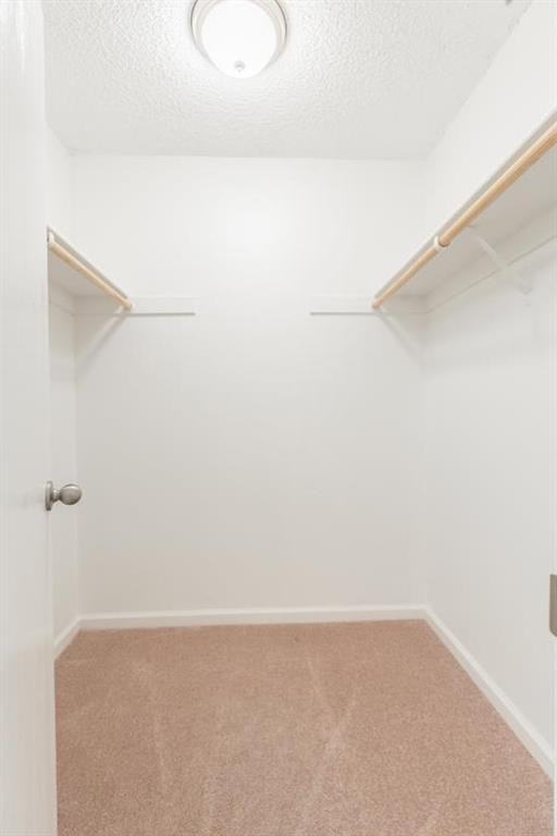 Real estate listings in San Jose