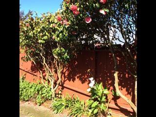 465 Castle ST, Daly City, CA - Thumbnail Image #16