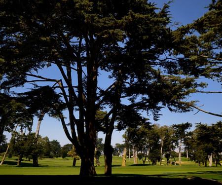 316 Northgate Ave, Daly City, CA - Thumbnail Image #7