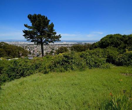 885 Lomita Ave., Millbrae, CA - Thumbnail Image #2