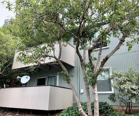 149 Piccadilly PL. #f, San Bruno, CA - Thumbnail Image #2