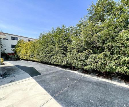 423 a St., Daly City, CA - Thumbnail Image #10