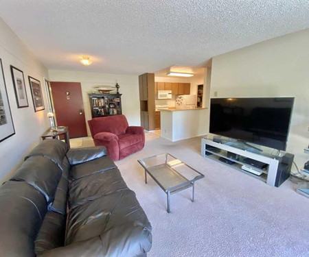 Property Listings in San Bruno